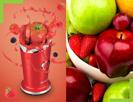 Mixér Mini blender DIVA